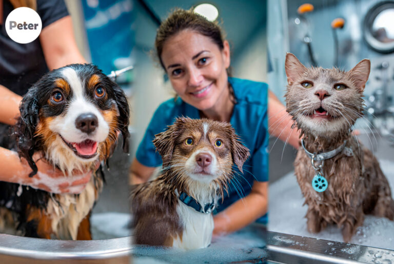 Cómo bañar a un perro o gato con piel sensible